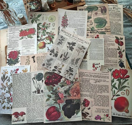 Набор карточек "Garden Calendar", 10 х 14 см, 15 шт., купить - БлагоЛис