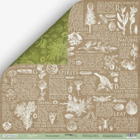 Лист двусторонней бумаги 30x30 от Scrapmir Энциклопедия из коллекции Cozy Forest, купить - БлагоЛис