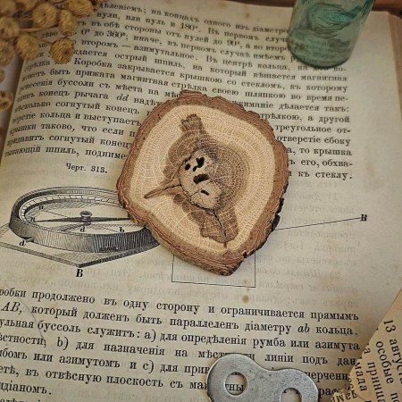 Дубовый спил, диаметр 6 см., купить - БлагоЛис