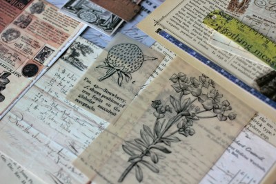 Большой набор страничек, карточек из текстурной бумаги, кальки "Книжная полка", 50 шт.