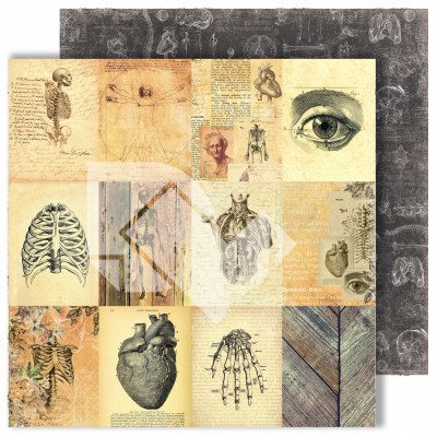 Набор двусторонней бумаги "Homo sapiens", ТМ Dream Light Studio, 30,5х30,5 см, 12 листов, 250 гр.