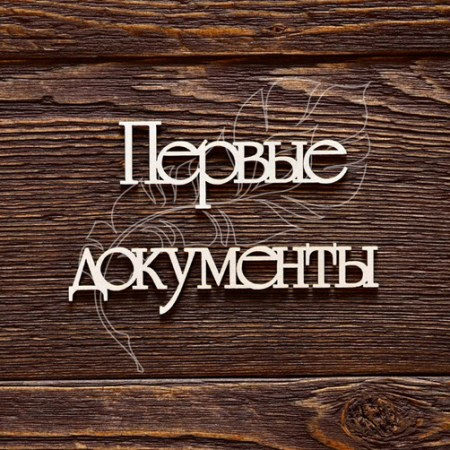 Первые документы, купить - БлагоЛис