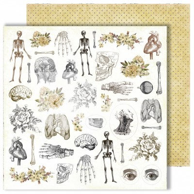 Набор двусторонней бумаги "Homo sapiens", ТМ Dream Light Studio, 30,5х30,5 см, 12 листов, 250 гр.