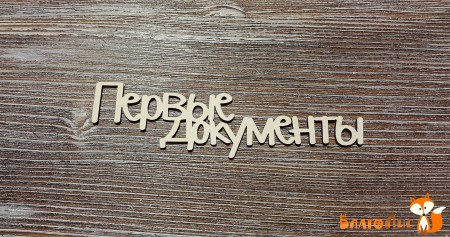 Надпись "Первые документы" (монолит), 10х3 см, купить - БлагоЛис