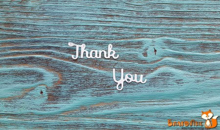 Вырубка Надпись Thank you, длина двух слов 6 см, купить - БлагоЛис