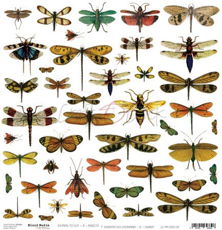 Лист с элементами для вырезания INSECTS, 30,5 х 30,5 см, плотность 250 грамм, ТМ Craft O'Clock, купить - БлагоЛис