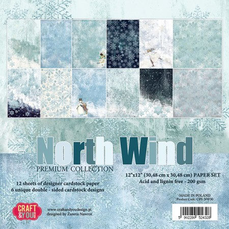 Набор бумаги North Wind, 30 х 30 см, 12 двусторонних листов, плотность 200 грамм, ТМ Craft & You Design, купить - БлагоЛис