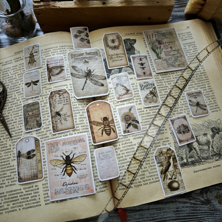 Набор матовых стикеров "Insects", 20 шт., купить - БлагоЛис