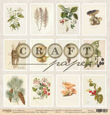 Набор бумаги "Ароматы леса", 8 листов, 20 х 20 см, плотность 190 гр\м2, ТМ Craft Paper 