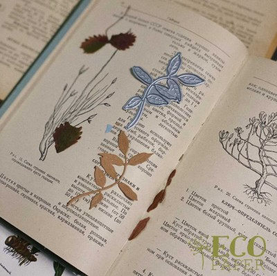 Нож для вырубки "Лист рябины", ТМ Eco Paper