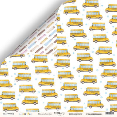 Набор двусторонней бумаги 30 х 30 см от Scrapmir School Days, 11 шт.